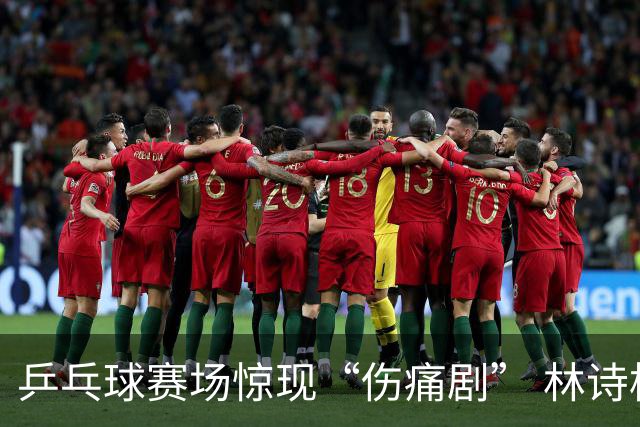 乒乓球赛场惊现“伤痛剧” 林诗栋梁靖崑意外缺席
