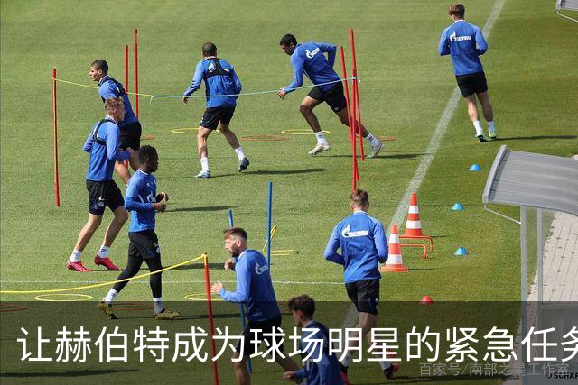 让赫伯特成为球场明星的紧急任务！
